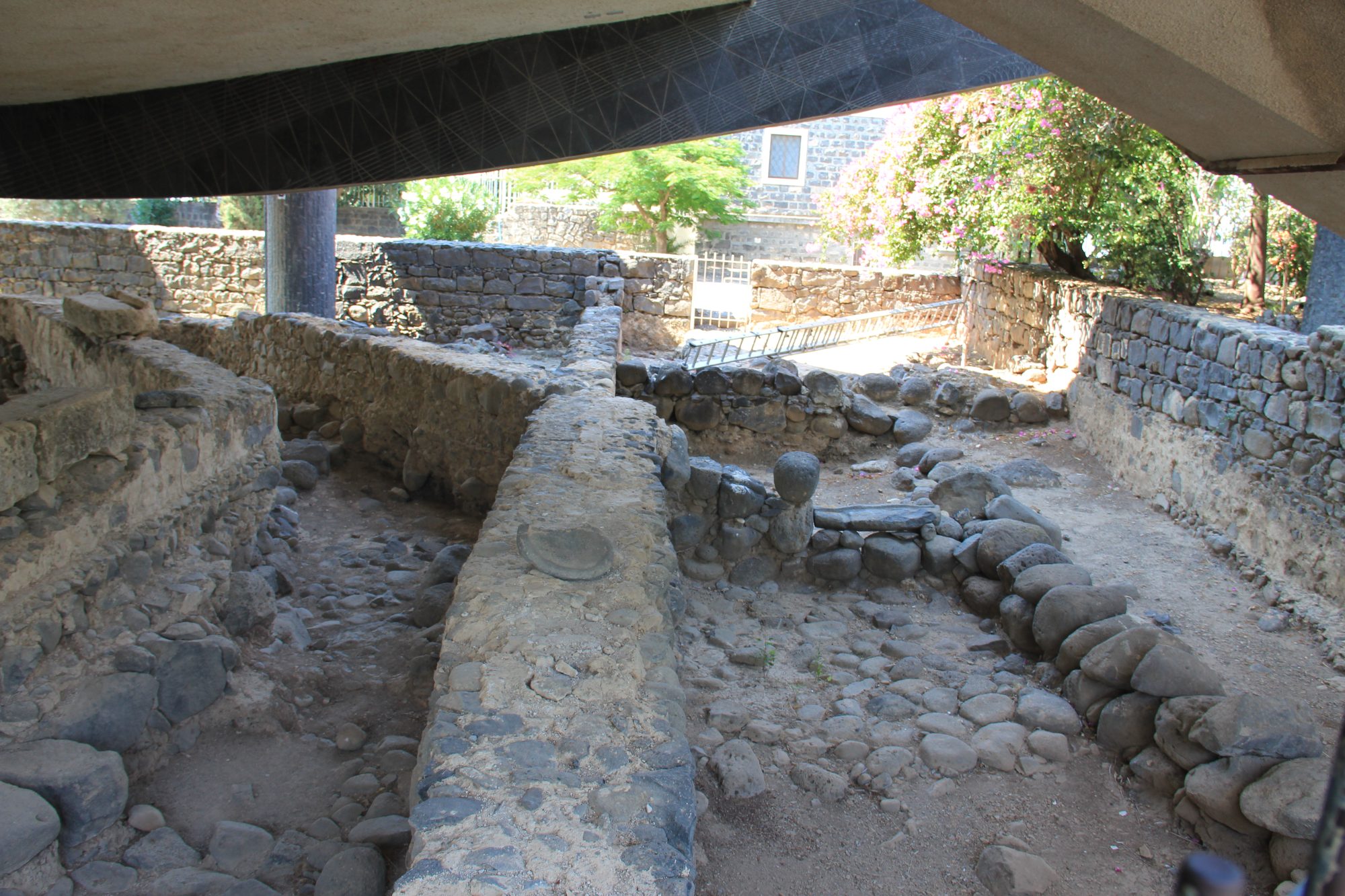 Capharnaum 43